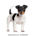 秘密教学在线免费看全集:畅享无广告高清资源,轻松学习新知识 0agj9vntp