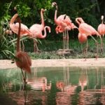 秘密教学 韩漫 免费:探索隐藏的魅力与精彩剧情的全新体验 bhtzv1k