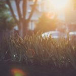 种子搜索引擎迅雷:快速找到你想要的资源与下载链接 hchrdd2