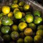 画江湖之不良人:侠义与阴谋交织的江湖传奇 ixtn51080