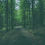 畅享51漫画下载:海量资源随时随地尽情阅读 n381zdepq