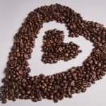 种子下载工具:轻松获取资源的最佳选择与使用指南 n4bnqjajd