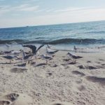 男人团:探索男性友谊与成长的力量 n4ddf2v