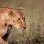 男女做事网站推荐西瓜:轻松找到适合你的合作伙伴和项目! nwg8jtt008