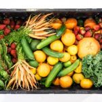 男女做事网站西瓜:探索多元合作与创意共享的新平台 rn6w189eh