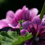 科技信息研究所:探索未来科技与信息发展的前沿领域 to72wa