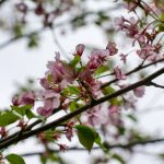 畅享1515影视在线影院:海量电影与电视剧随心观看 tyy72ku