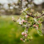 男欢女爱 佛缘:探寻爱情与灵性交织的心灵之旅 y0k1x6