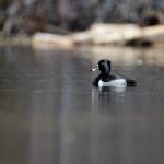 秘密教学205话子豪被发现了:真相揭晓,命运将如何改变? ze8azn